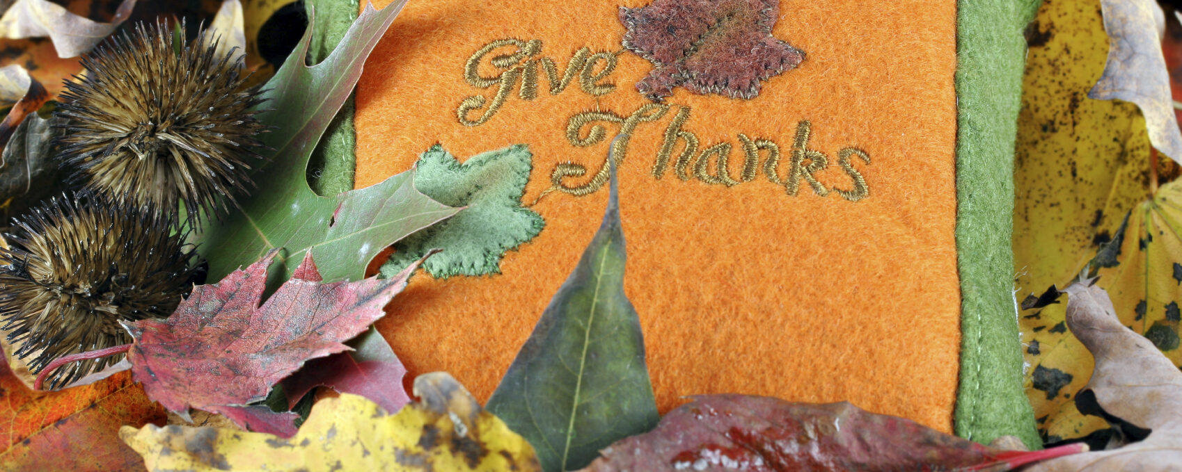 Give & Thank: The Simple Everyday Actions That Can Transform Your Life