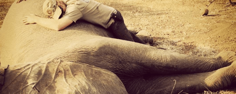 Prince Harry Proves Why Poaching Needs To Stop With These Touching Photos