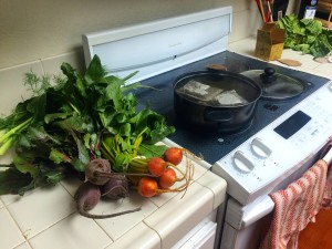 Farmers Market Foood while making homemade Kombucha