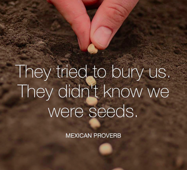 I didn t try. To Bury. To Bury слайд. They tried to Bury us they didn't know we were Seeds. Things they didn t know.