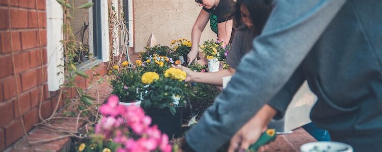 The Personal And Environmental Benefits Of Gardening