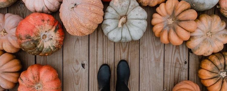 The 11 Surprising Benefits That Pumpkins Can Give You