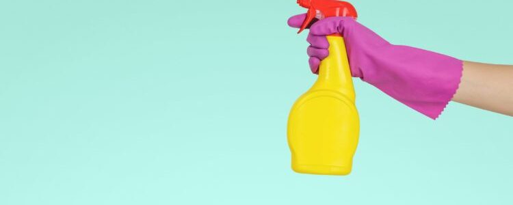 7 Essential Cleaning Tools and Materials Everyone Should Have at Home