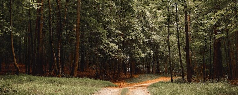 The Never-Ending Attractions Of Atlanta At Stone Mountain Park