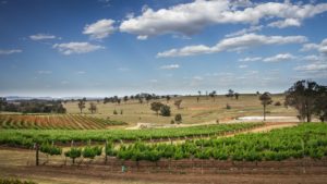 hunter valley