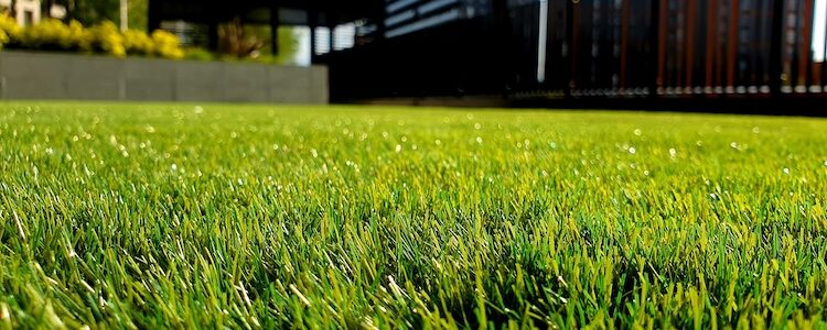 Adulting 101: Spot Treat Or Broadcast? The Best Ways For Precision Weed Control In Your Lawn