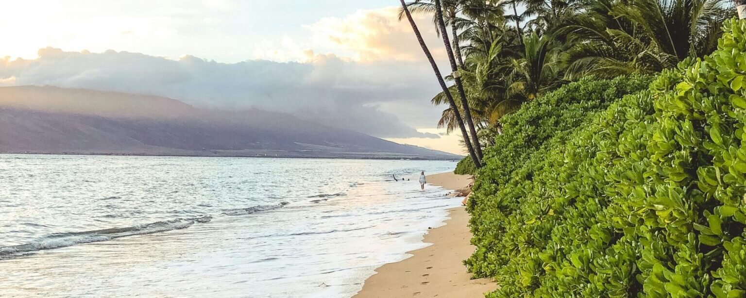 Exploring The Beauty of Kayaking Tours In Maui