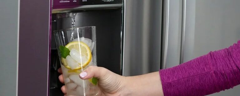 Everything You Need to Know About the Fisher and Paykel Fridge Filter