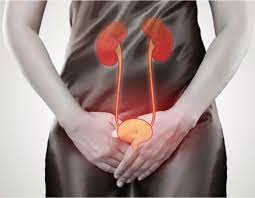 The Impact of Hormonal Changes on Cystitis in Women