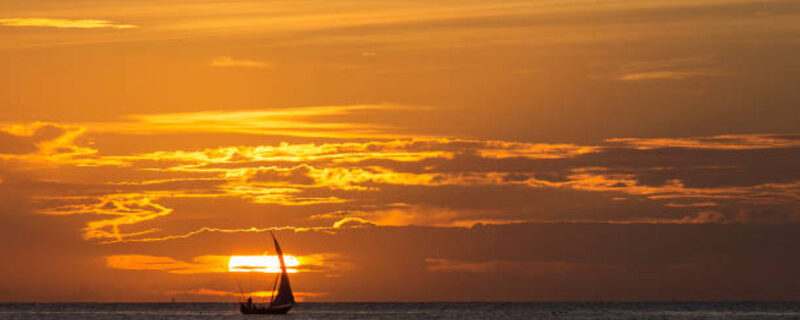 Activities to Do in Zanzibar: From Diving to Dolphin Tours