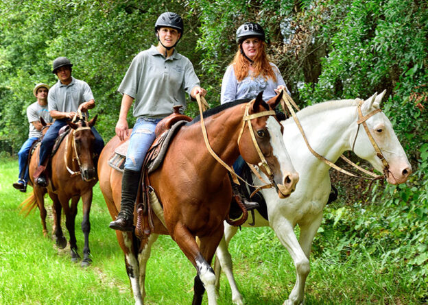 The Ultimate Guide to Horseback Riding Vacations in Kentucky