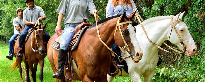 The Ultimate Guide To Horseback Riding Vacations In Kentucky