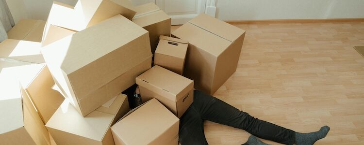 Top Tips For Managing Moving Day Like A Pro