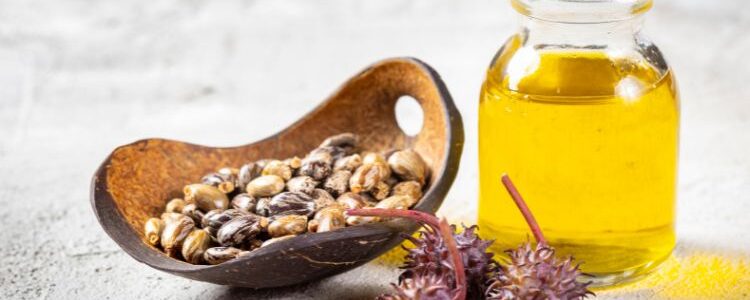 Castor Oil and Derivatives Market Size, Share, Growth, and Forecast: 2025-2034