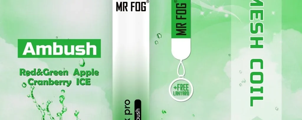 Why Choose Mr Fog Disposable Vape for a Smooth Experience